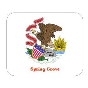  US State Flag   Spring Grove, Illinois (IL) Mouse Pad 