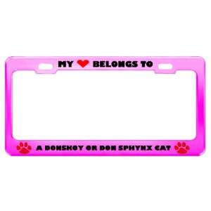  A Donskoy Or Don Sphynx Cat Pet Pink Metal License Plate 