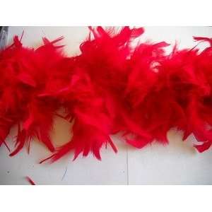  2 Yard Red Chandelle Feather Boa 60 Grams Arts, Crafts 