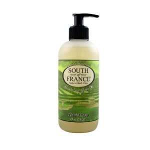  South Of France Liquid Soap   Green Tea, 12 Ounce (Pack of 