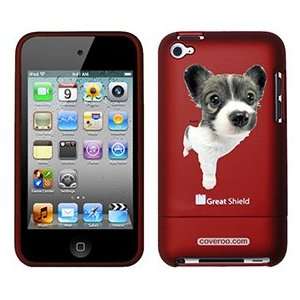  Papillon Puppy on iPod Touch 4g Greatshield Case 