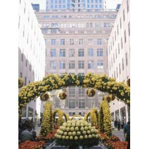  Flower Decorations Outside Saks, Fifth Avenue Manhattan 