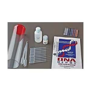 DNA Depot Introduction to Electrophoresis Kit  Industrial 