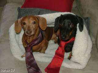 Your Doxies in Our Snuggle Bags items in Whats Up Dox Dachshund 