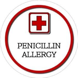  Medical Alert Keychain, Penicillin Allergy Everything 