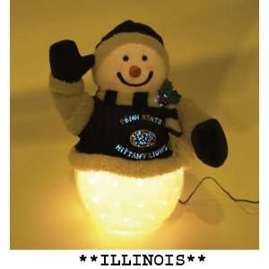  Illinois Fiber Optic Snowman Christmas Decorations