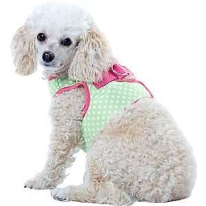   Smoochie Pooch Green FiFi Dot Dog Harness, X Small 