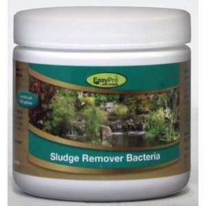  Easy Pro Sludge Remover Bacteria DRY (12 ct) Patio, Lawn 