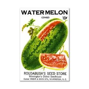 Watermelon Seed Packet Artwork Fridge Magnet