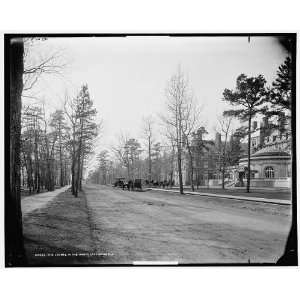  The Laurel in the Pines,Lakewood,N.J.