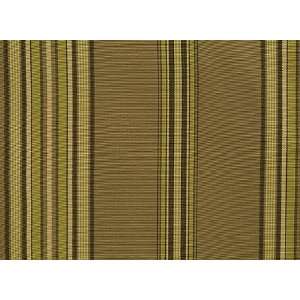  1820 Appleton in Kiwi by Pindler Fabric