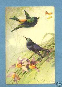 P2260 artist Catherine Klein flowers postcard birds  