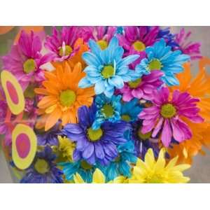  Colorful Bouquet of Flowers, Lincoln, Nebraska Stretched 