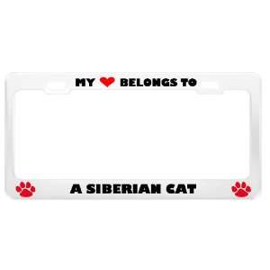 Siberian Cat Pet White Metal License Plate Frame Tag Holder