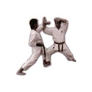 Shotokan Karate 10 DVD Set by Kenneth Funakoshi  Sports 
