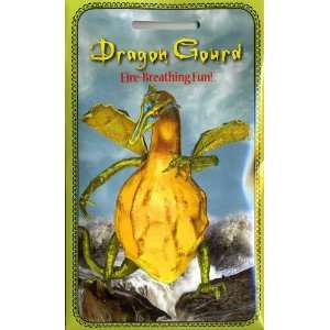  100% Fun   Dragon Gourd Patio, Lawn & Garden
