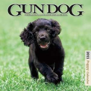  2011 GUN DOG Puppy Wall Calendar
