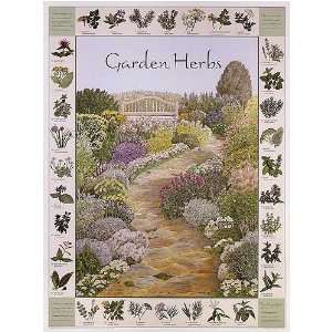  Garden Herbs Toys & Games