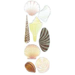  A Touch of Jolees Boutique Shells Dimensional Stickers 