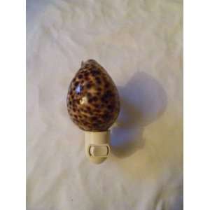  Spotted Tiger Cowrie Nightlight 
