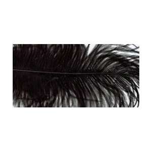  Zucker Feather Ostrich Feathers 2/Pkg Black B802 B; 6 