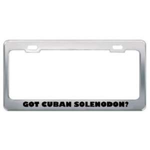 Got Cuban Solenodon? Animals Pets Metal License Plate Frame Holder 
