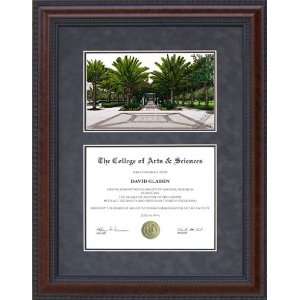  Diploma Frame with University of South Florida (USF 