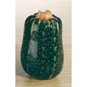  Cushaw Squash Vase Ceramic by Home Gourmet Collection 