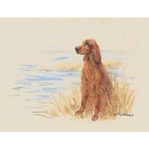  Irish Setter Limited Edition Print and Signed by the 