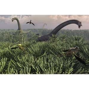  Diplodocus Dinosaurs of the Sauropod Family by Stocktrek 