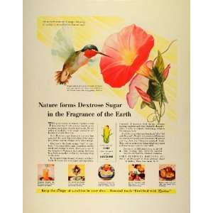   Hibiscus Flower Hummingbird NY   Original Print Ad