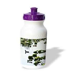  Florene Nature   Lily Pad Swim   Water Bottles