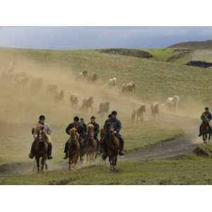 Icelandic Horses and Riders, Riding Near Landmannalaugar 