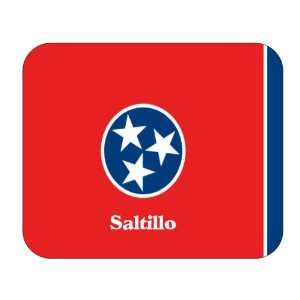  US State Flag   Saltillo, Tennessee (TN) Mouse Pad 