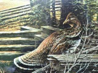   SIGNED TERRY REDLIN SOFT SHADOWS Ruffed Grouse Hiding From Hawk  