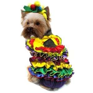  Halloween Calypso Queen Dog Costume Toys & Games