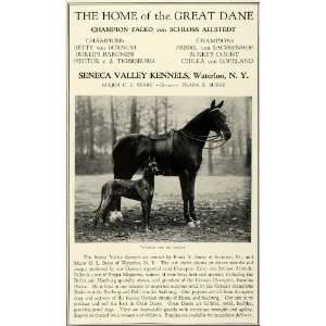 1930 Ad Seneca Valley Kennels Great Dane Dogs Pets Breeders Waterloo 