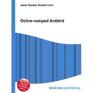  Ochre rumped Antbird Ronald Cohn Jesse Russell Books