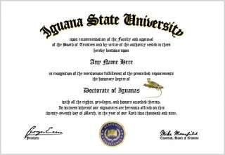 Iguanas Diploma   Iguana Lover Diploma  