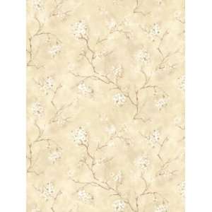   Wallpaper Steves Color Collection   Beige BC1581104