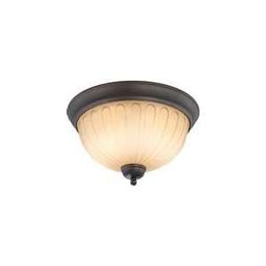  Nuvo Lighting   60/4232   Carousel Collection   2 Light 