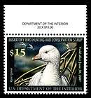 RW73 FEDERAL WATERFOWL STAMP MOGNH PSE GRADED *98 SUP.*