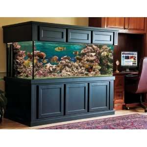  Monterey Deep Dimension LED Super Systems 300 Gallon Reef 