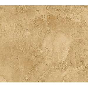  Tuscan Plaster Faux Wallpaper AF33617