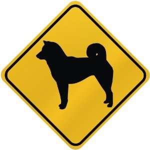  ONLY  SHIBA INUS  CROSSING SIGN DOG