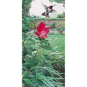  Marc Hanson   Hummingbird and Hibiscus