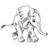 Linework Elephant Calf