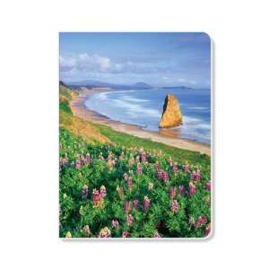 ECOeverywhere Lupines and Coastline Journal, 160 Pages, 7.625 x 5.625 