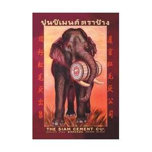 The Siam Cement Company Ltd   Bangkok 20x30 poster 