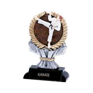  Karate Trophies   Colored Sports Resin KATARE